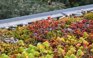 the cost of Trelawnyd green roof installation